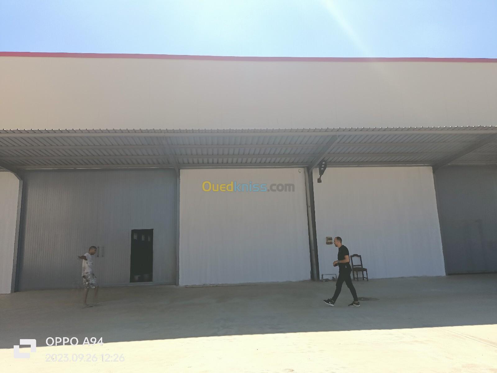 Location Hangar Blida Ouled selama