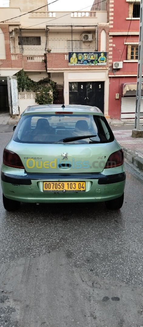 Peugeot 307 2003 307