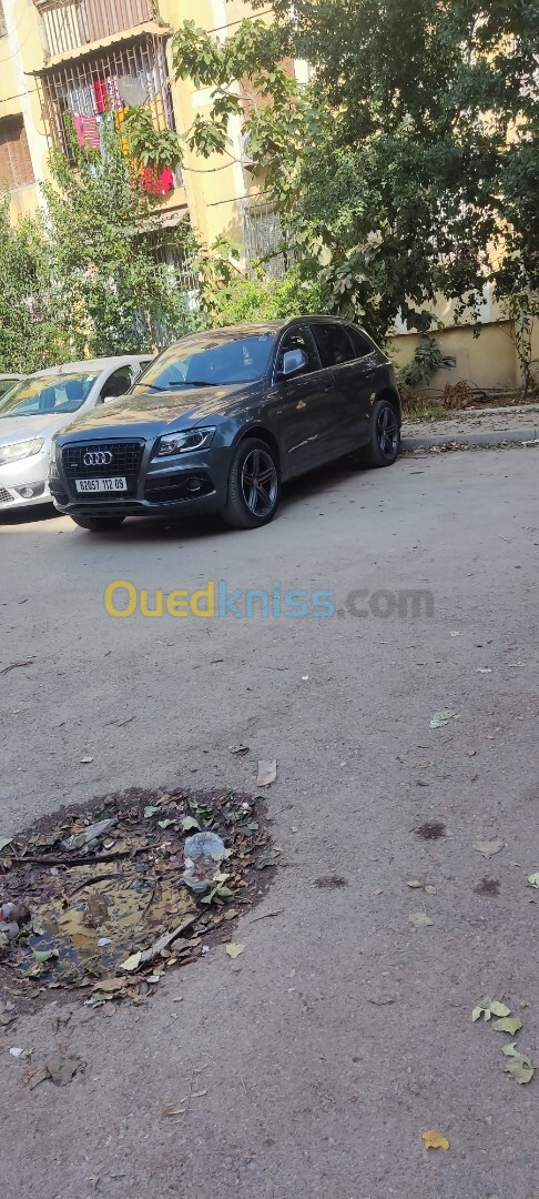 Audi Q5 2012 S line