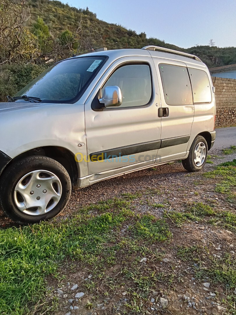 Citroen Berlingo 2010 Berlingo