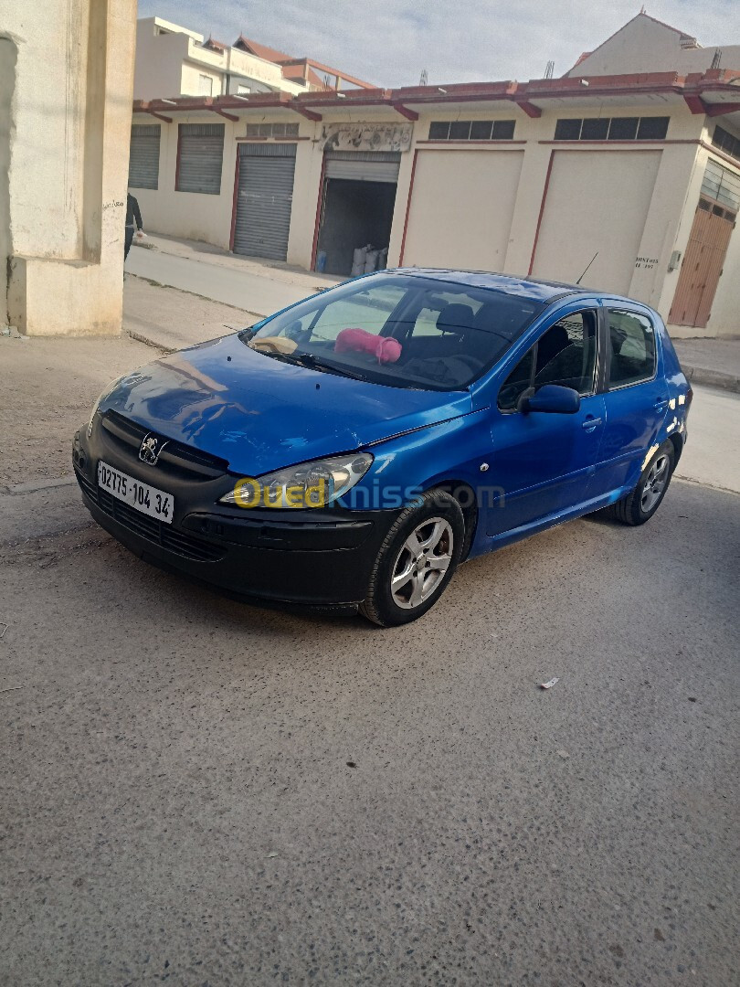 Peugeot 307 2004 307