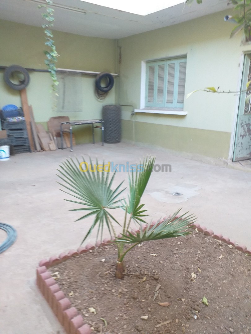 Vente Villa Sidi bel abbes Sidi bel abbes