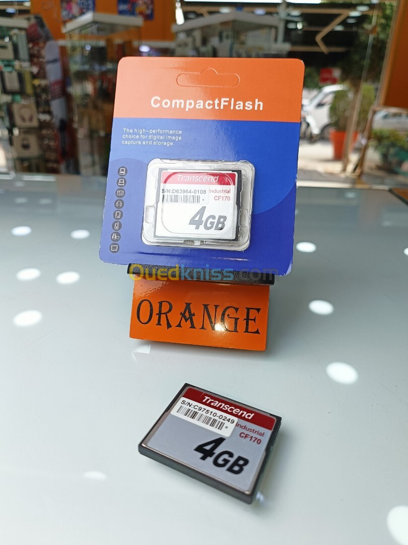 CF170 4 GB CompactFlash (CF) Card