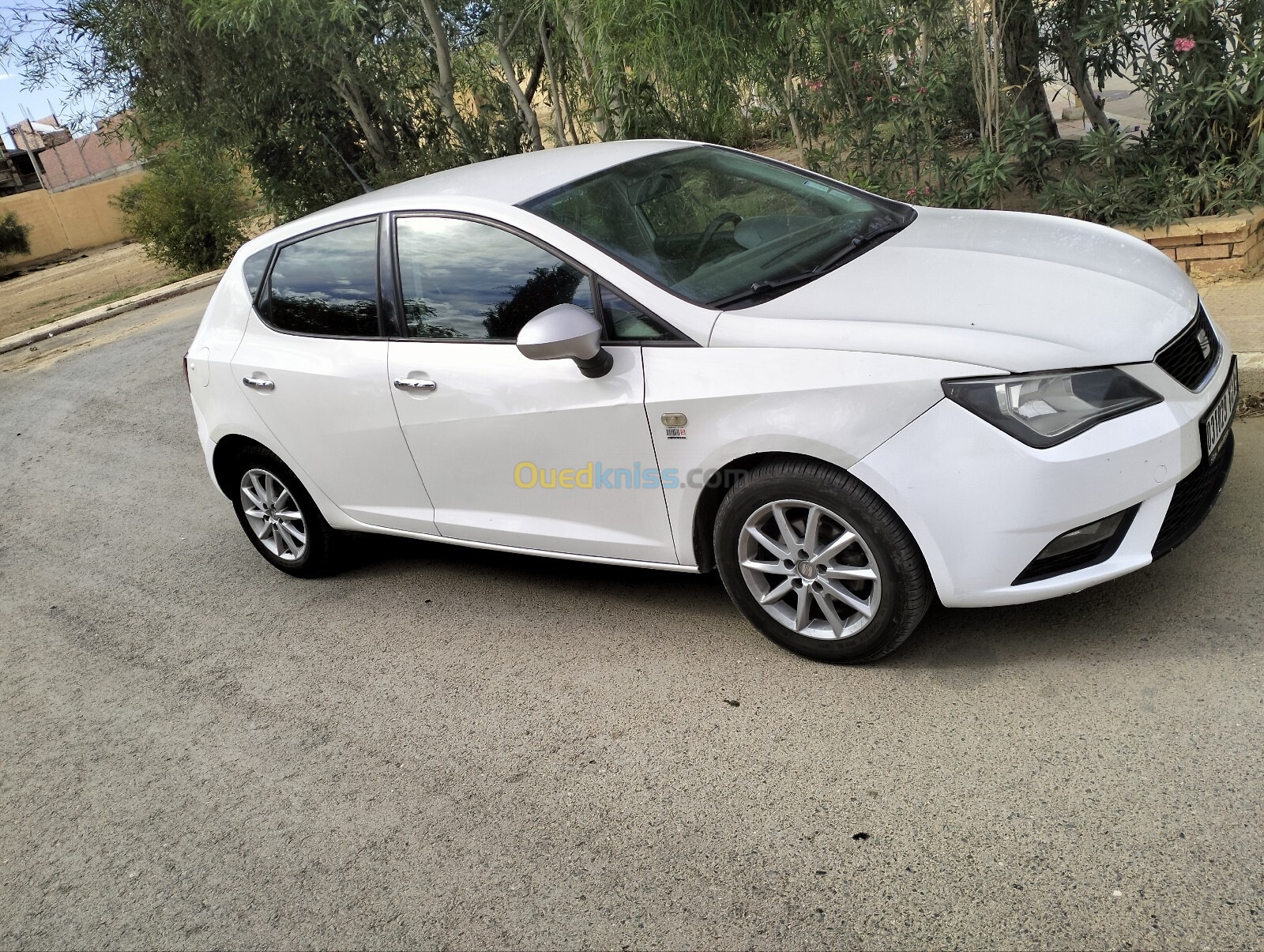 Seat Ibiza 2013 Fully