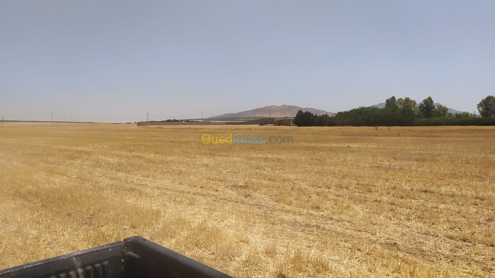 Vente Terrain Agricole Sétif Taya