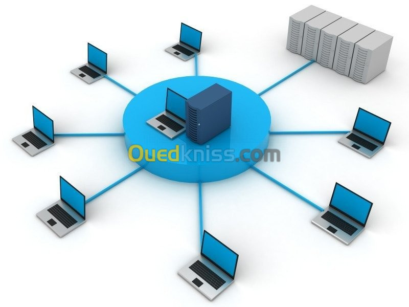 Installation des reseaux informatiques et systèmes d'alarmes