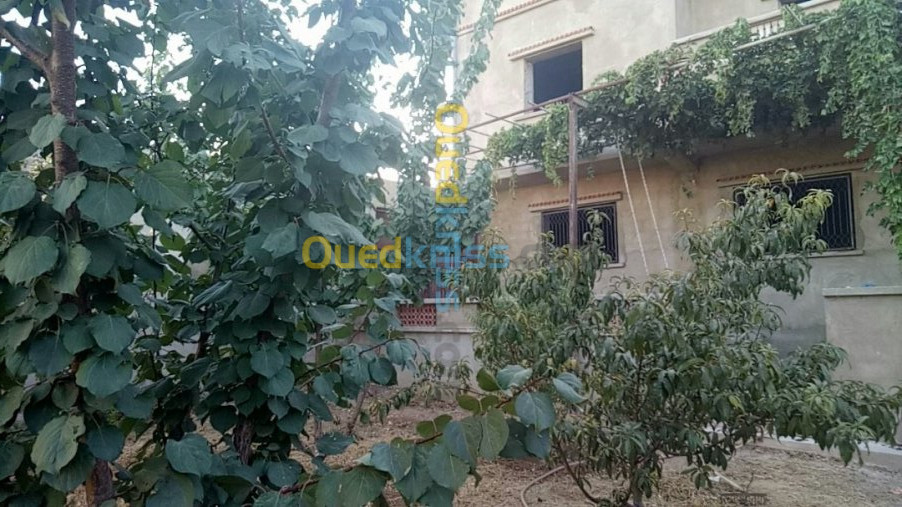 Vente Villa Mostaganem Nekmaria ouled boughalem