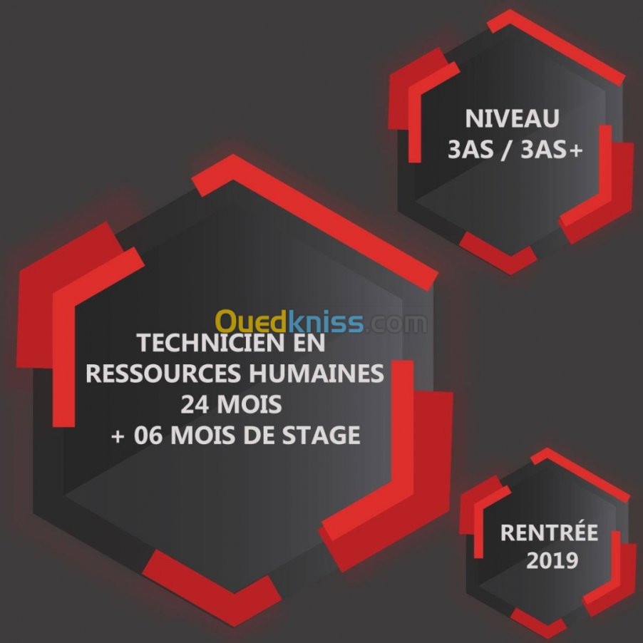 Technicien supérieur en RH