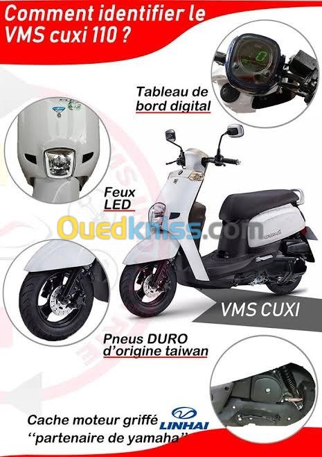Vms Cuxi 1 2023