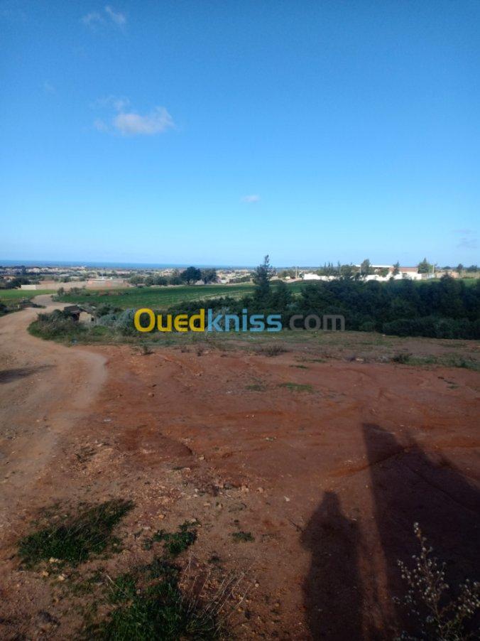 Vente Terrain Mostaganem Sidi lakhdaara