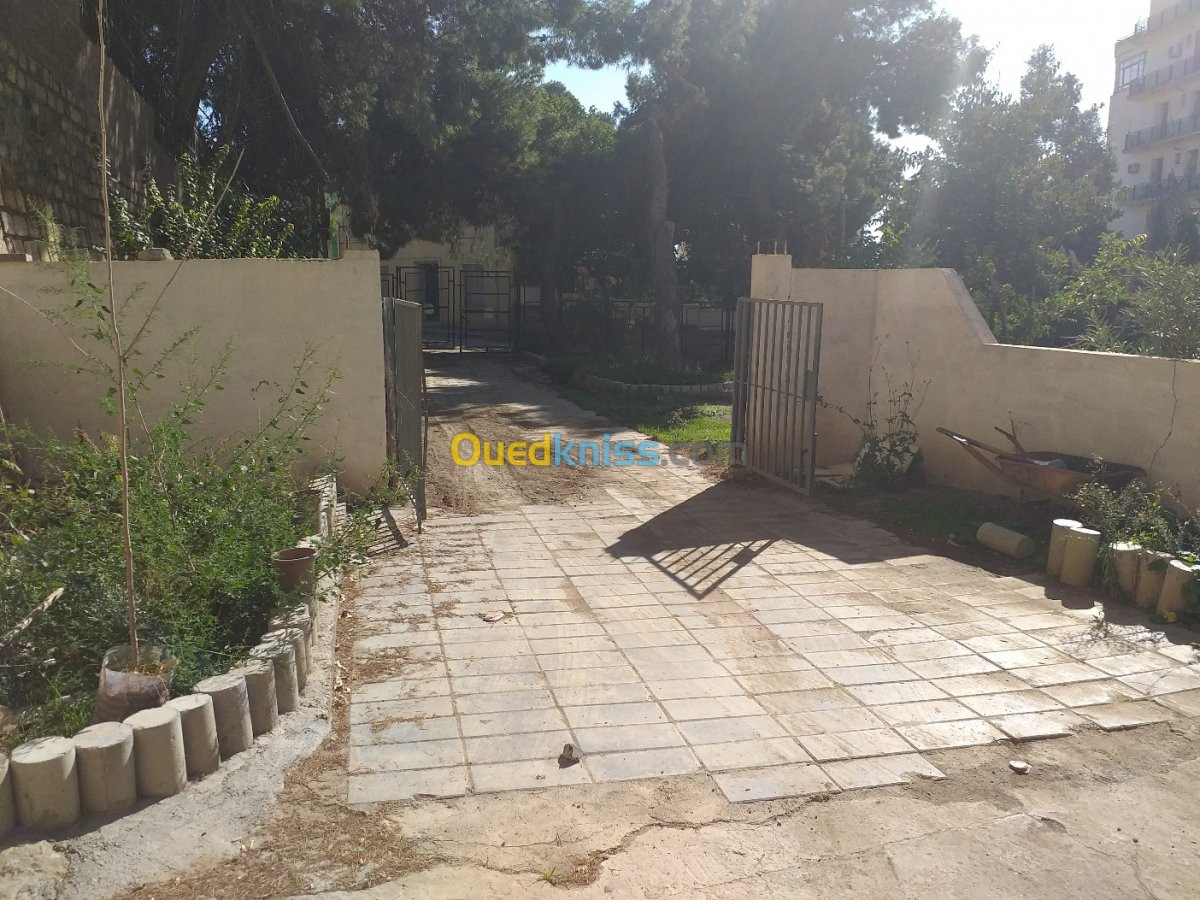 Vente Villa Setif Setif