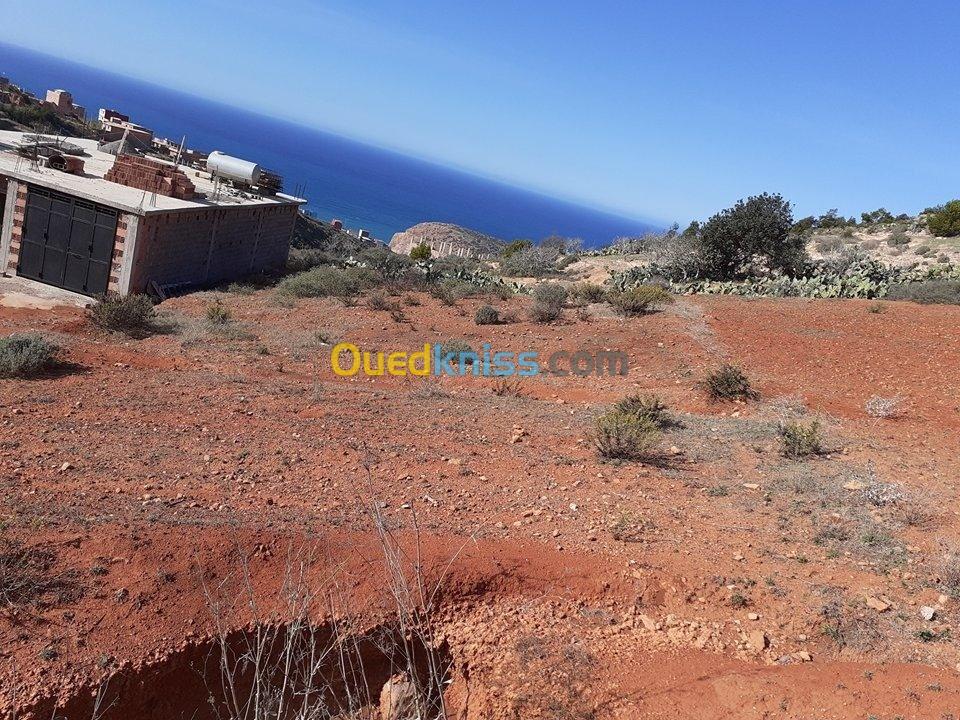 Vente Terrain Ain temouchent Oulhaca el gheraba