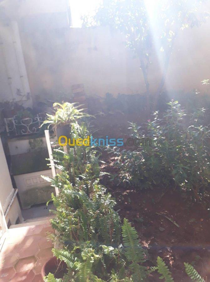 Location Niveau De Villa F3 Alger Kouba