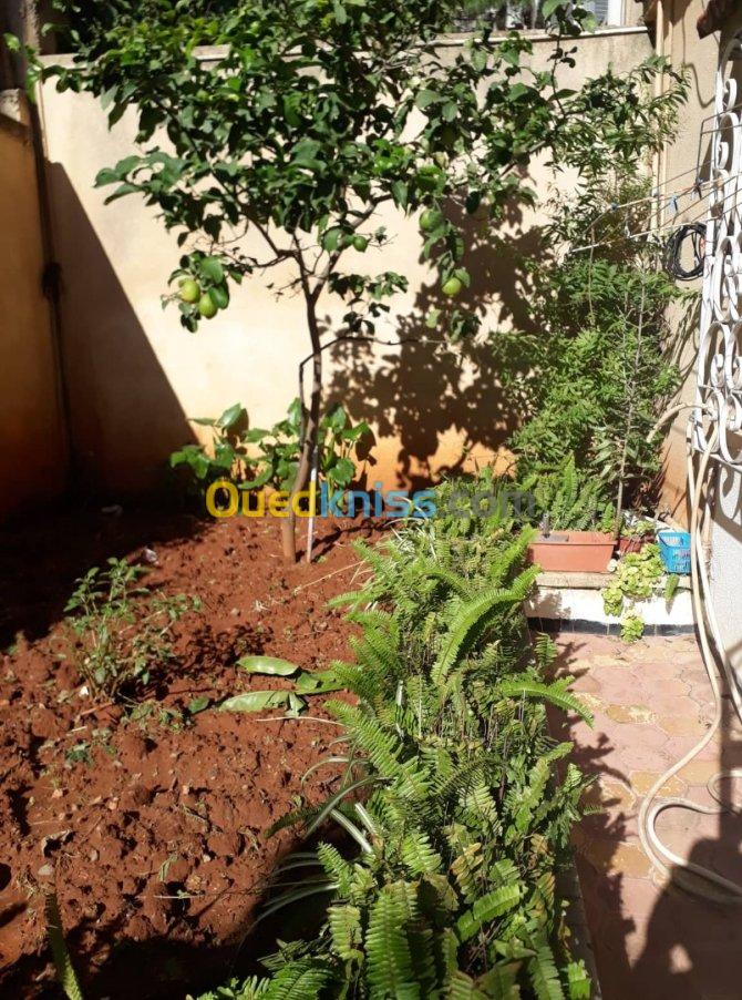 Location Niveau De Villa F3 Alger Kouba