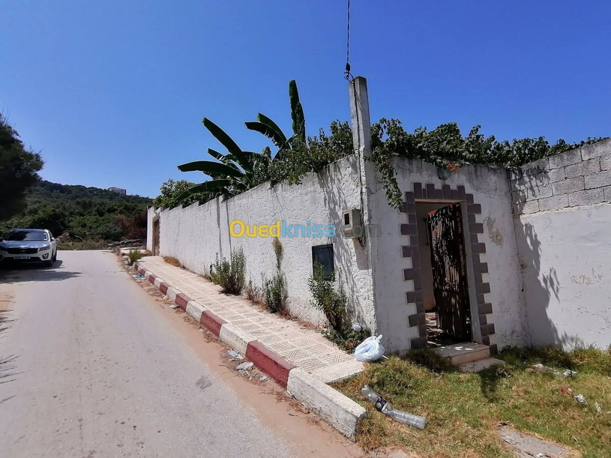 Vente Villa El taref El kala