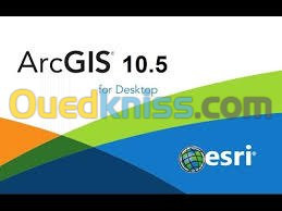 FORMATION ARC GIS