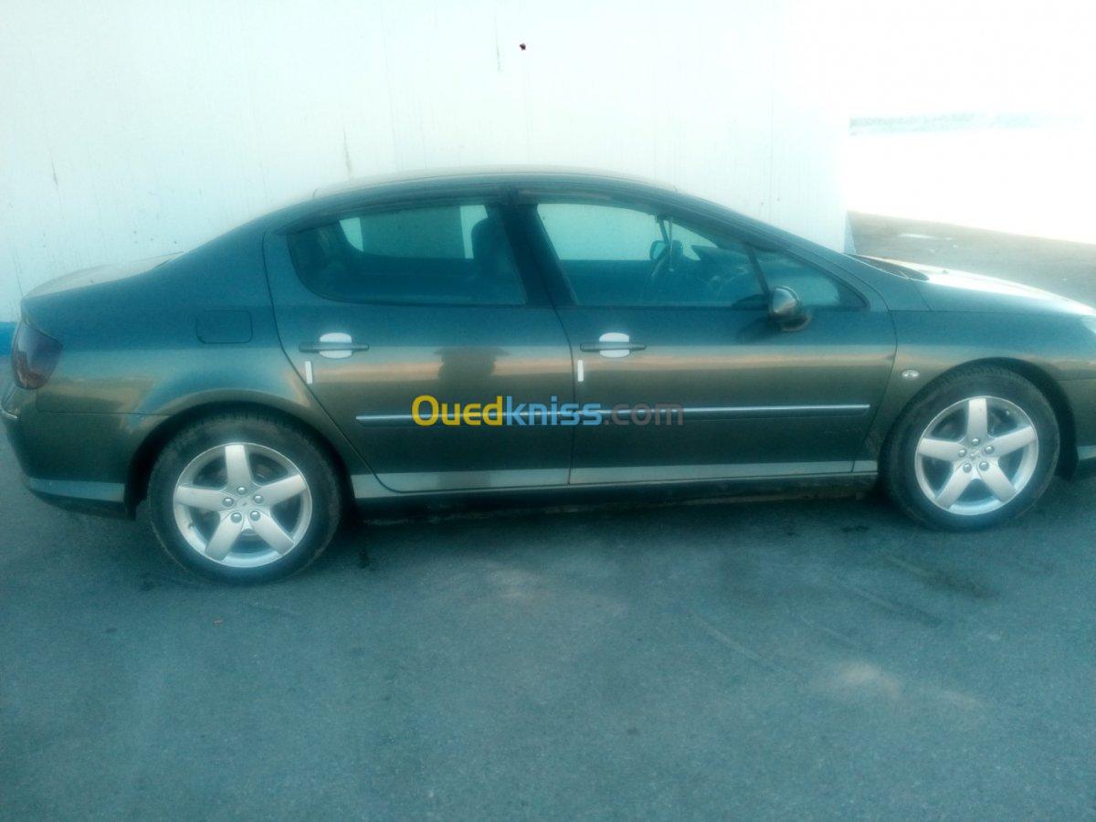 Peugeot 407 2007 