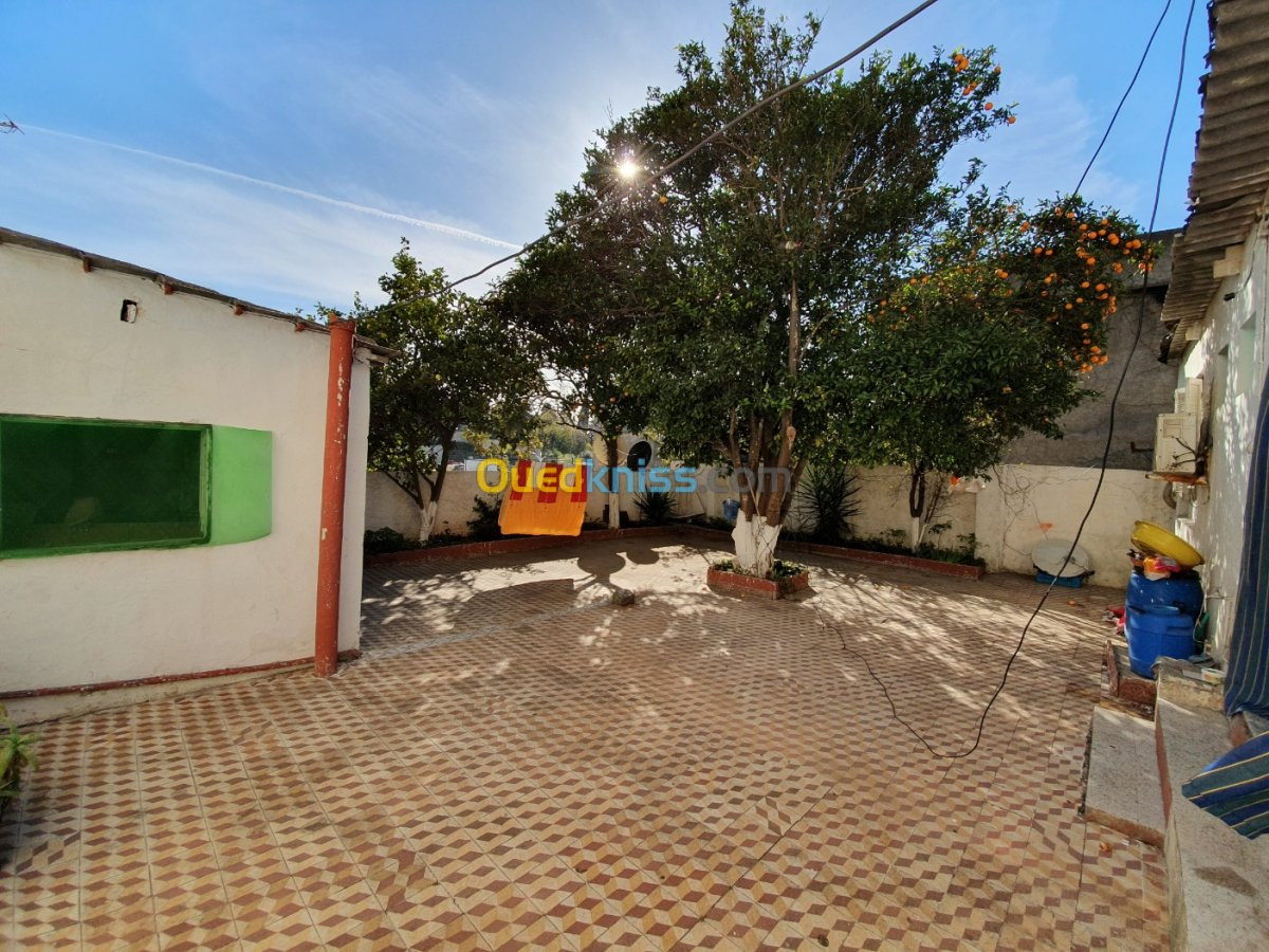 Vente Villa Alger Ben aknoun