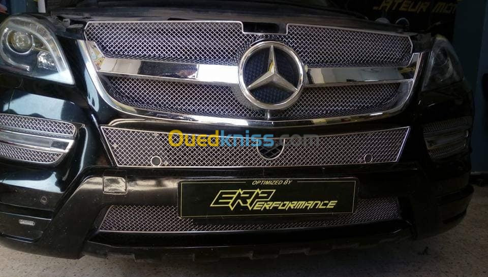 MERCEDES ADBLUE FAP EGR