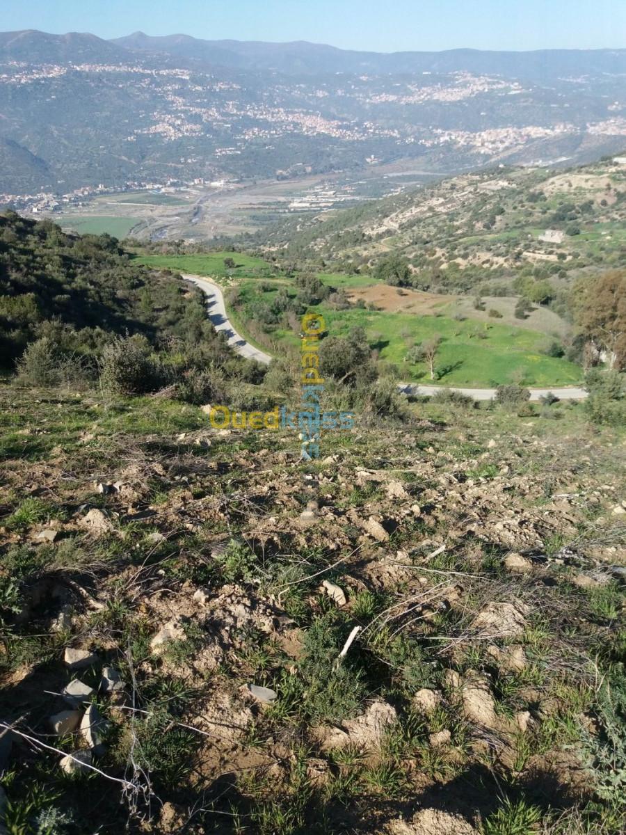 Vente Terrain Agricole Bejaia Seddouk