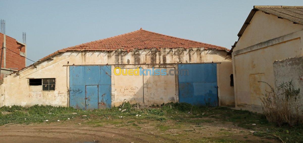 Location Hangar Tipaza Bourkika