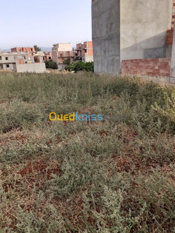 Vente Terrain Boumerdes Ouled moussa