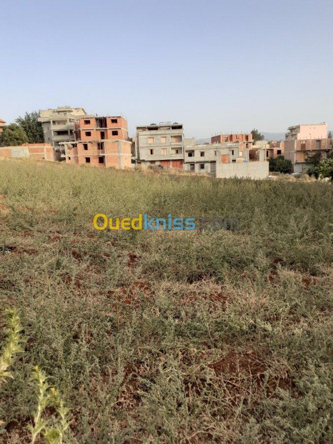 Vente Terrain Boumerdes Ouled moussa