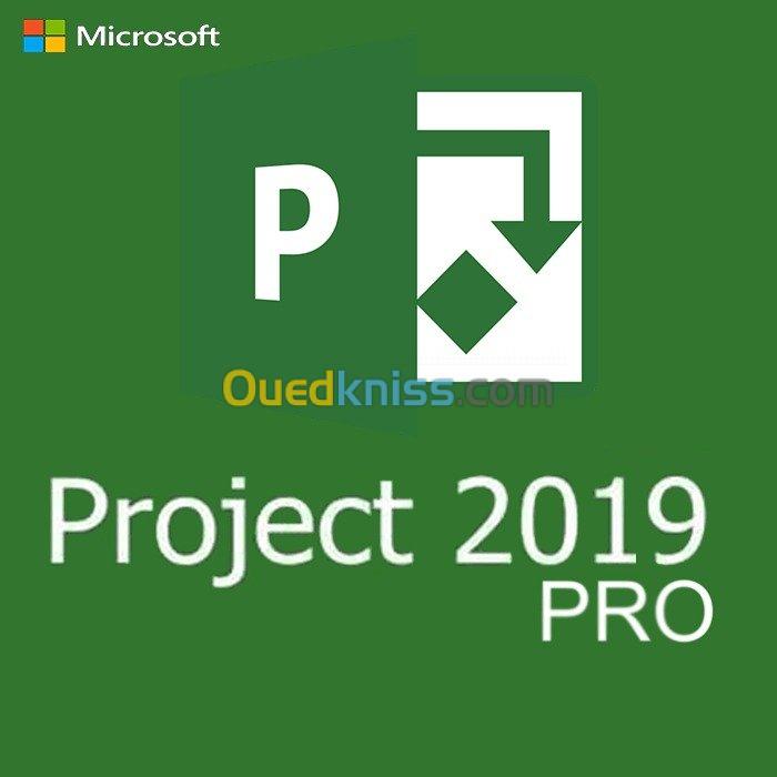 ms project  Microsoft Visio 2019 /2016