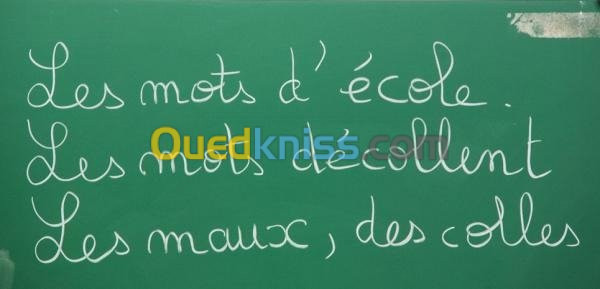 Rédaction de vos textes en Français