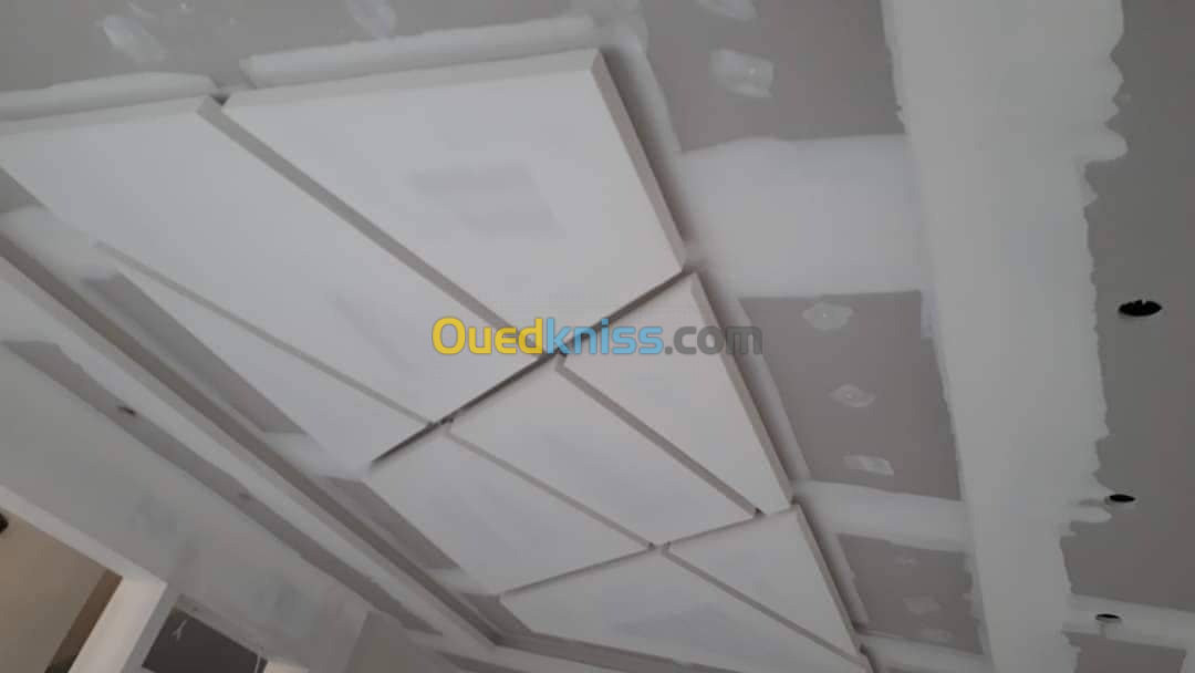 ba13 faux plafond , separation , pvc