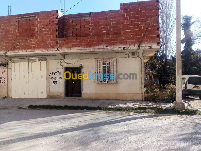 Vente Niveau De Villa F3 Oum el bouaghi Oum el bouaghi