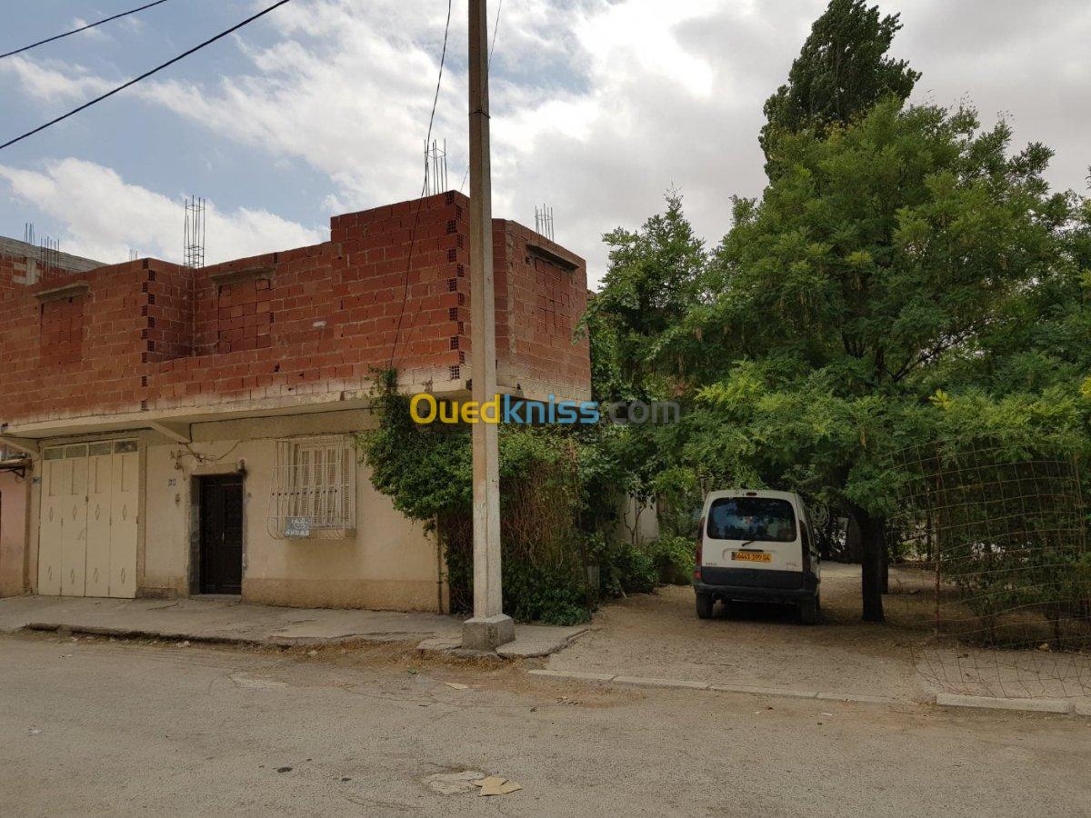 Vente Niveau De Villa F3 Oum el bouaghi Oum el bouaghi