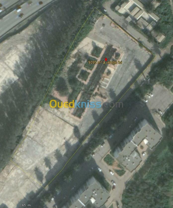 Vente Terrain Alger Bachdjerrah Alger Bachdjerrah Algérie