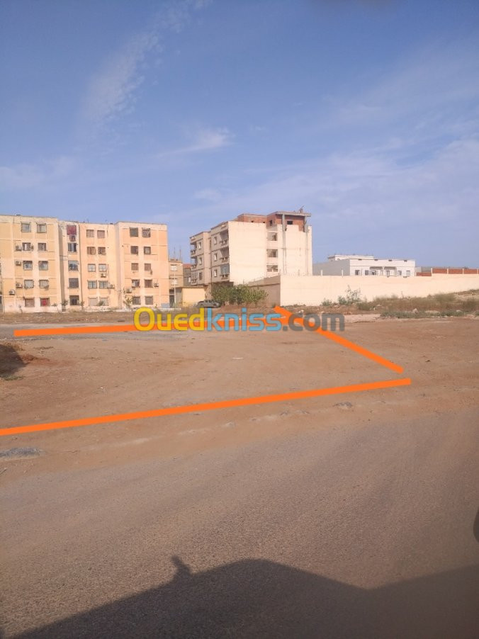 Vente Terrain Oran El braya