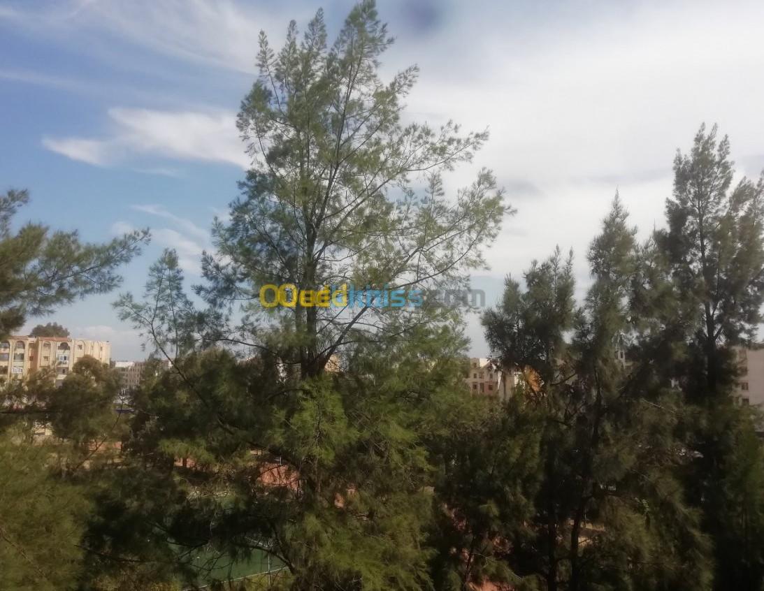 Vente Appartement F4 Ain defla Khemis miliana