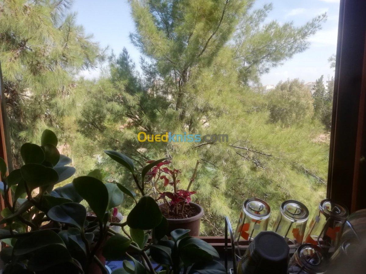 Vente Appartement F4 Ain defla Khemis miliana