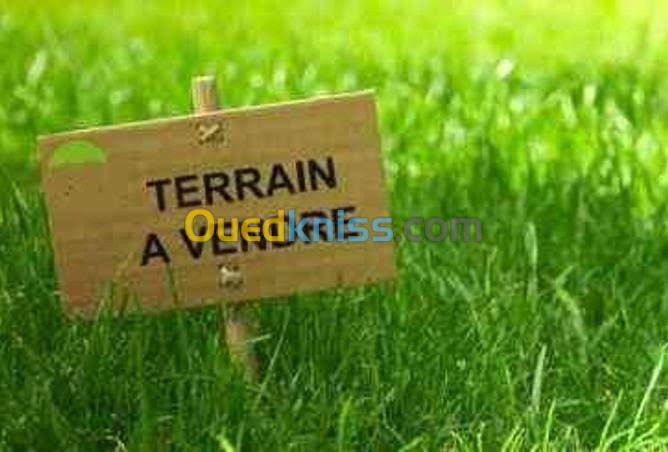 Vente Terrain Agricole Mila Tadjenanet