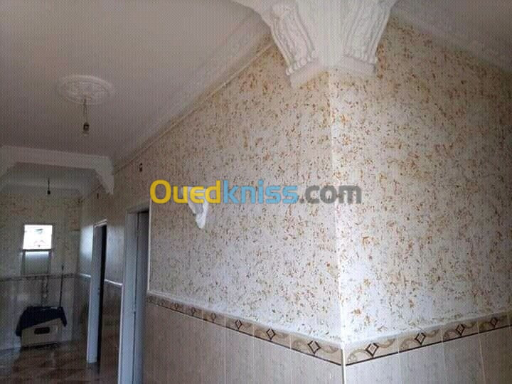 Peintre  plafond pvc