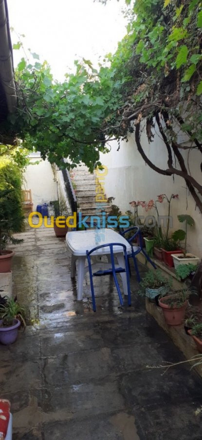 Vente Niveau De Villa F4 Chlef Chlef