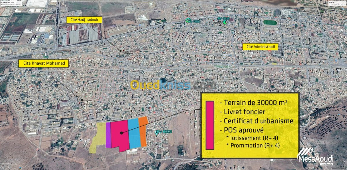 Vente Terrain Aïn Defla Ain defla