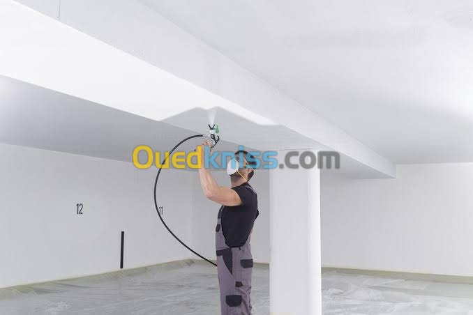 Travaux de peinture airless et enduit 