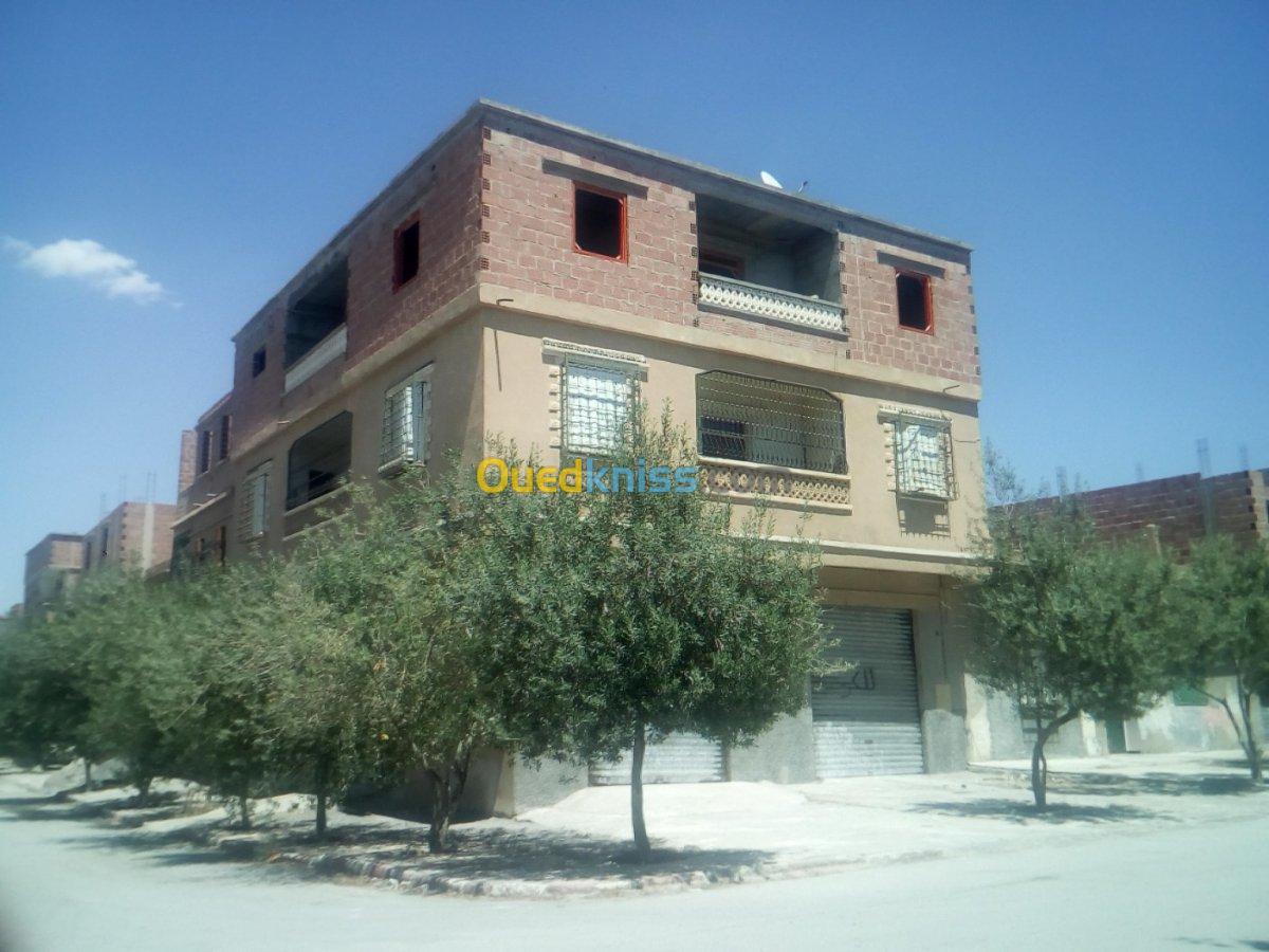 Vente bien immobilier Batna Ain touta