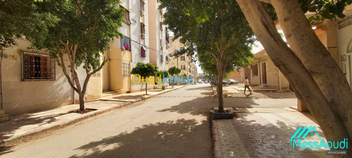 Vente Appartement F3 Ain defla El attaf