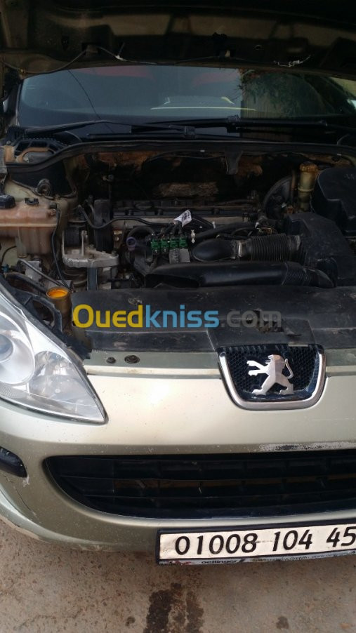 Peugeot 407 2004 2.0L 140 ch 16v 10 cv