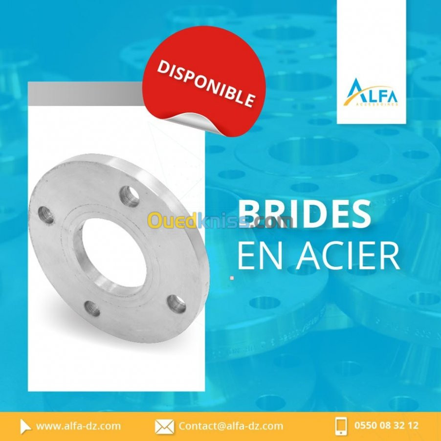 BRIDE ACIER PLATE