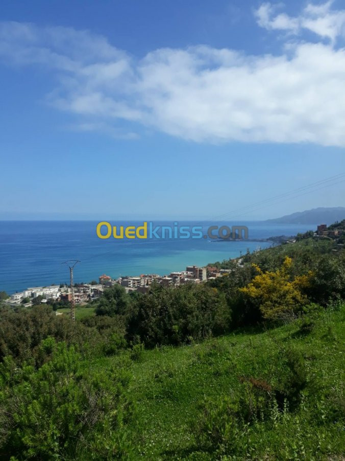 Location Niveau De Villa F3 Jijel Ziama mansouriah