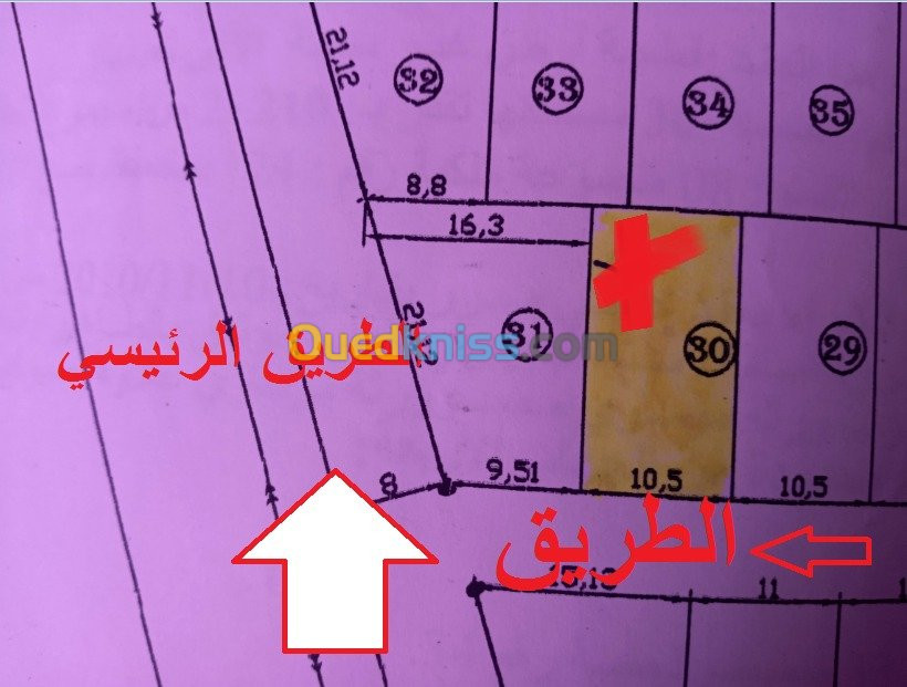 Vente Terrain Jijel Emir abdelkader