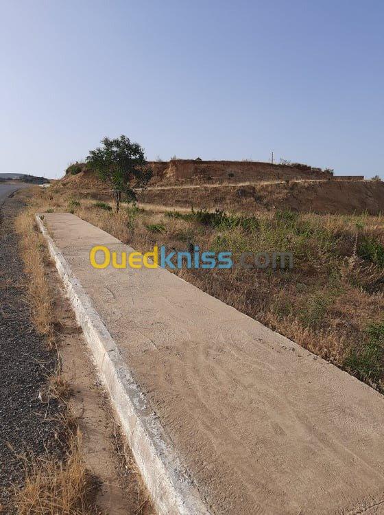 Vente Terrain Ain defla Djendel