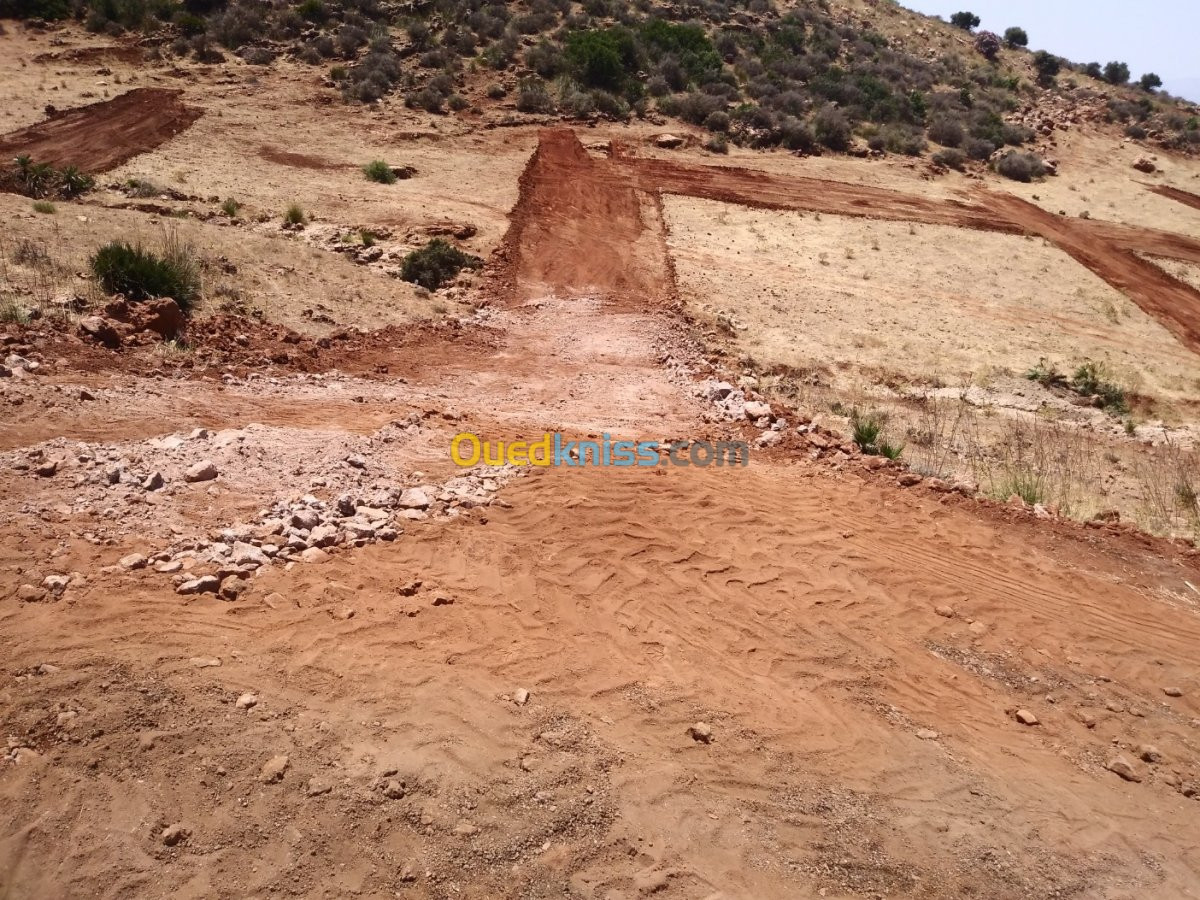 Vente Terrain Tlemcen Beni mester