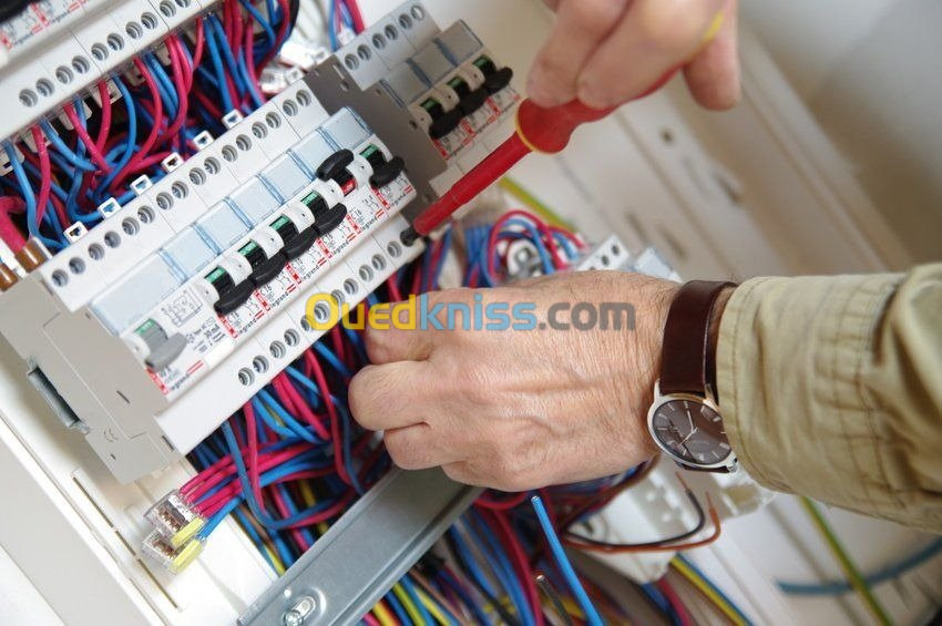 Electricien professionnel كهربائي